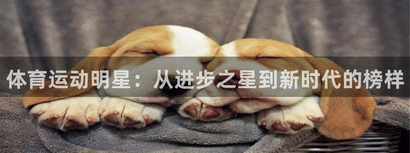 u球体育app官方下载：体育运动明星：从进步之星到新时代的榜样
