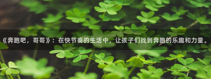 u球体育直播