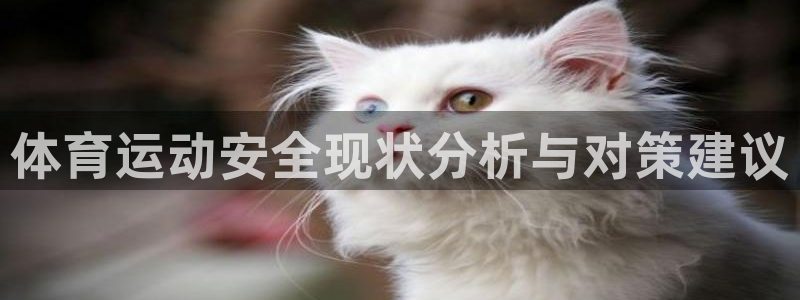 u球体育下载