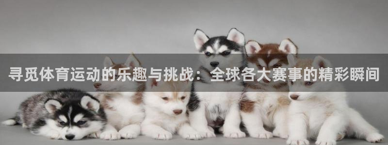 u球体育UFC：寻觅体育运动的乐趣与挑战：全球各大赛事的精彩瞬间