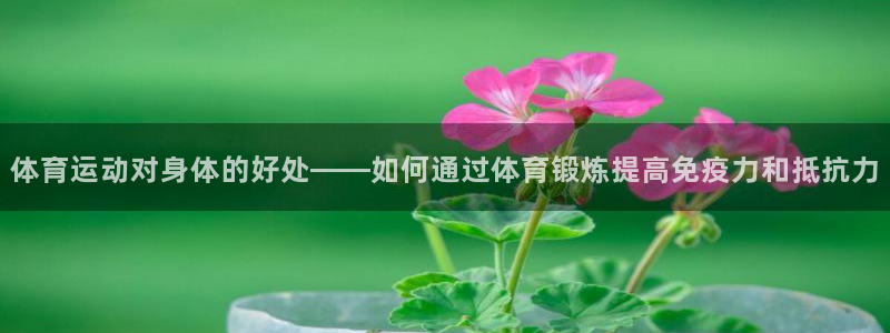 u球体育官网下载
